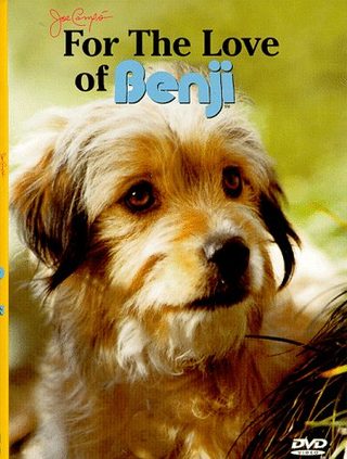 For the Love of Benji still 2