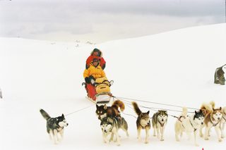 Eight Below still 3