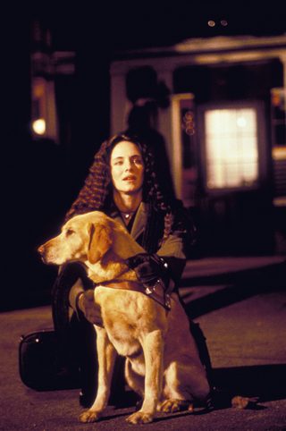 Blink still 4