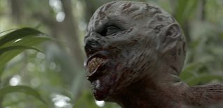 Indigenous still 3