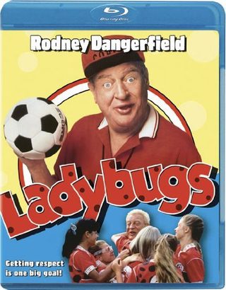 Ladybugs still 2