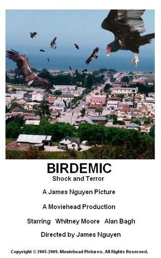 Birdemic: Shock and Terror still 3