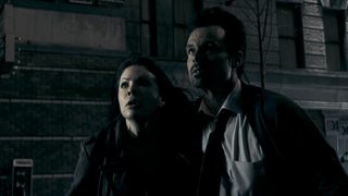 Spiders still 2
