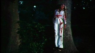 Terror still 1