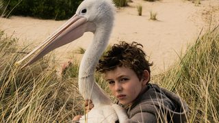 Storm Boy still 6