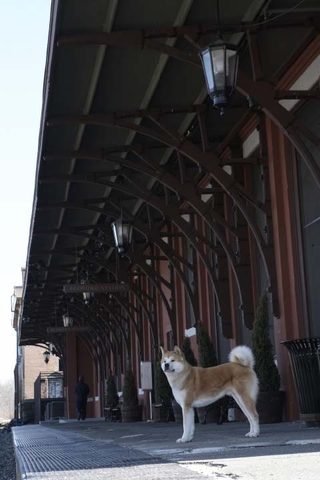 Hachi: A Dog's Tale still 4