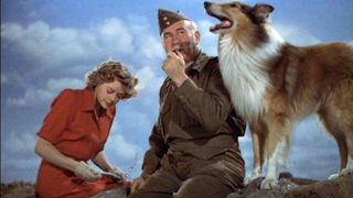 Son of Lassie still 3