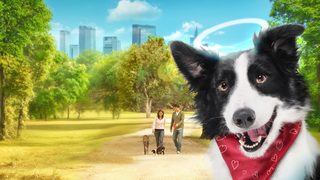 Angel Dog still 2