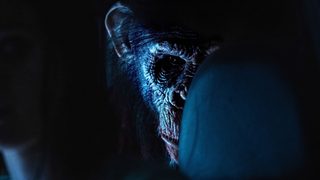 Primate still 1