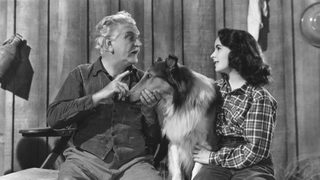 Courage of Lassie still 1