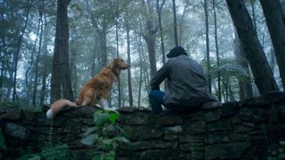 Good Boy still 7
