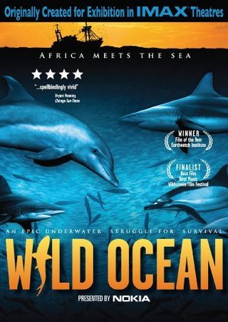 Wild Ocean still 2