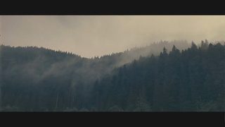Tini nezabutykh predkiv. Tayemnytsi molfara still 8