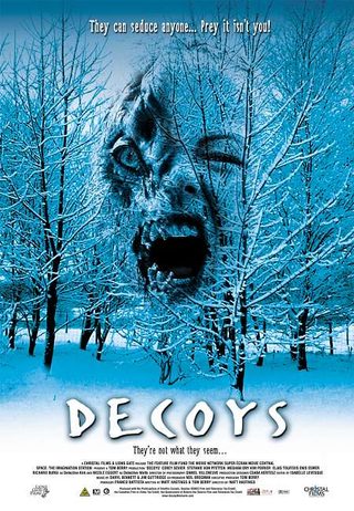 Decoys still 3