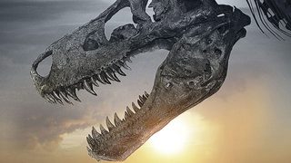 Dinosaur 13 still 2