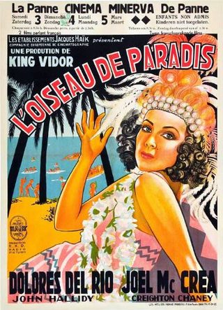 Bird of Paradise still 3