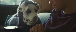Good Boy still 8