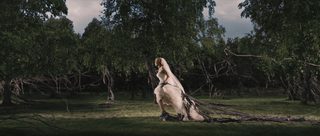 Melancholia still 7