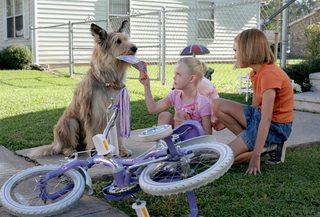 Because of Winn-Dixie still 8
