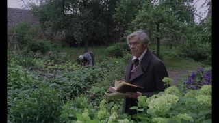 The Enigma of Kaspar Hauser still 6