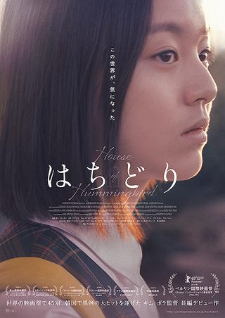 House of Hummingbird still 2