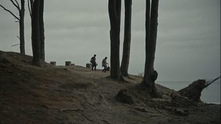 Swarm still 2
