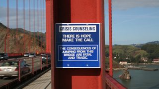 The Bridge still 1