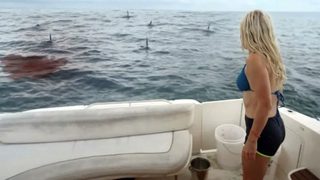 Great White Waters still 3