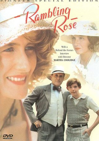 Rambling Rose still 2