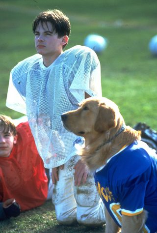Air Bud: Golden Receiver still 4
