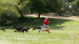 Unleashed still 6
