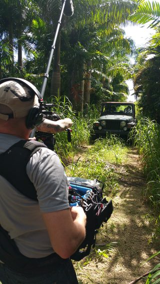 Crocodylus still 8