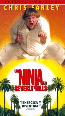 Beverly Hills Ninja still 5