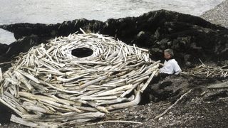 Rivers and Tides still 2