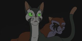 Felidae still 3