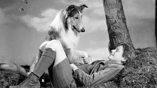Lassie Come Home still 2