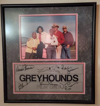 Greyhounds still 3