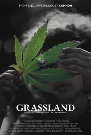 Grassland still 8