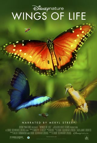 Wings of Life still 1