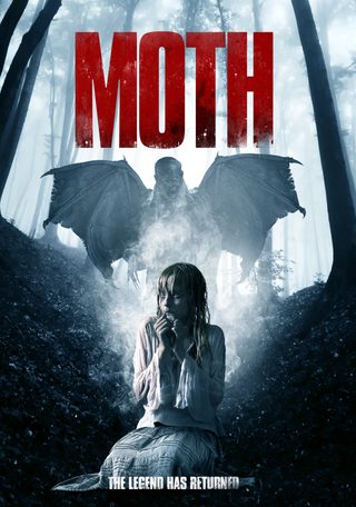 Moth still 2