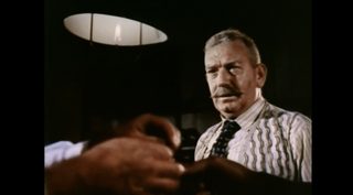 Kangaroo still 8