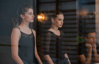 Birds of Paradise still 3