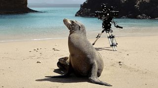 Guardians of the Galapagos still 3