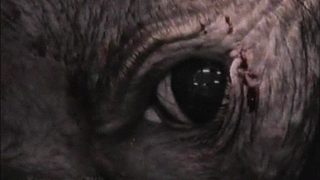 Earthlings still 3