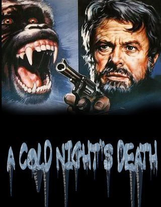 A Cold Night's Death still 1