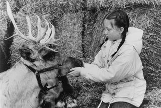 Prancer still 5