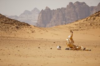 The Last Days on Mars still 5