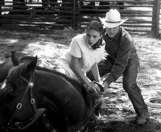 The Horse Whisperer still 3