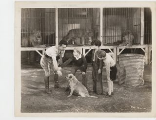 The Lost Jungle still 2