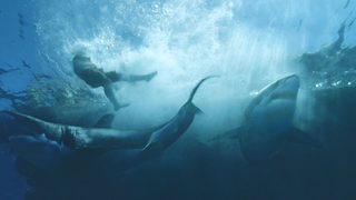 Kon-Tiki still 6